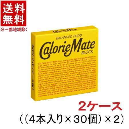 ［食品］★送料無料★※2ケースセット　カロリーメイト　ブロック　チーズ味　4本入り　（30個＋30個）セット　（80g×60個・箱）（バランス栄養食）大塚製薬　【お取り寄せ】